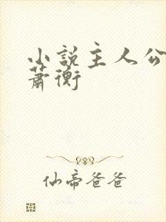 小说主人公乔念萧衡