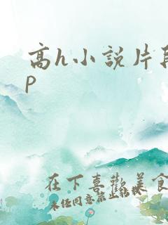 高h小说片段np