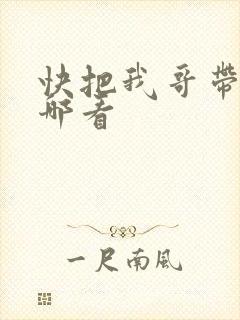 快把我哥带走在哪看