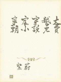 宁宸穿越大玄王朝小说免费阅读