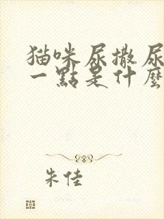 猫咪尿撒尿只撒一点是什么情况