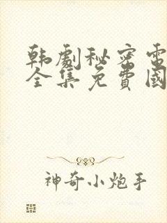 韩剧秘密电视剧全集免费国语