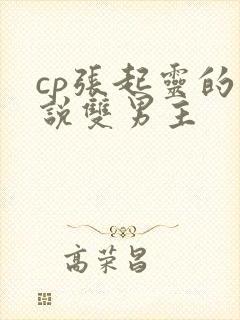 cp张起灵的小说双男主