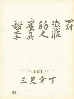 甜蜜的惩罚第二季真人版