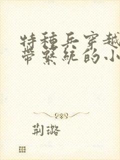 特种兵穿越抗日带系统的小说