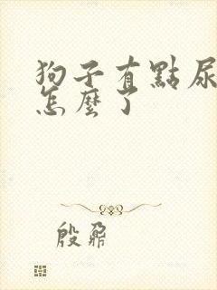 狗子有点尿血是怎么了