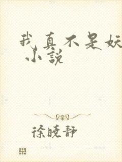 我真不是妖怪啊 小说