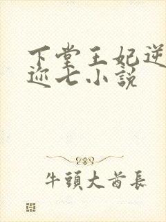 下堂王妃逆袭记迩七小说