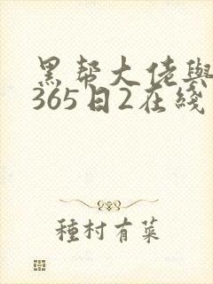 黑帮大佬与我的365日2在线