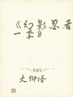 《幻影忍者第十一季》