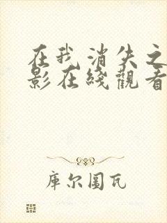 在我消失之前电影在线观看免费播放