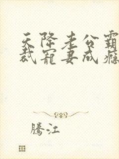 天降老公霸气总裁宠妻成瘾