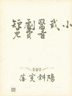 短剧医武小天师免费看