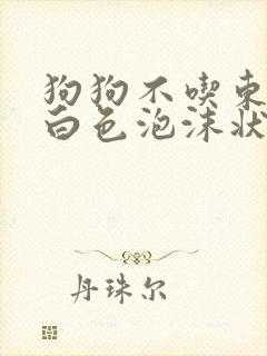 狗狗不吃东西吐白色泡沫状粘液