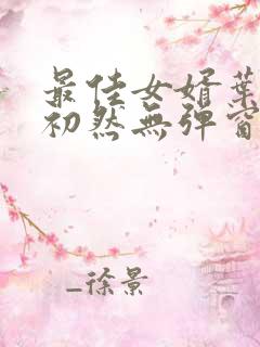 最佳女婿叶辰萧初然无弹窗