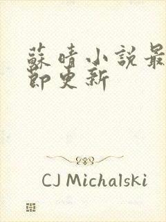 苏晴小说最新章节更新