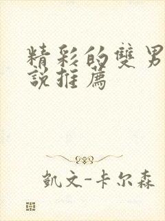 精彩的双男主小说推荐