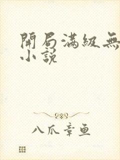 开局满级无敌的小说