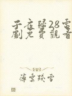 子夜归28电视剧免费观看全集高清