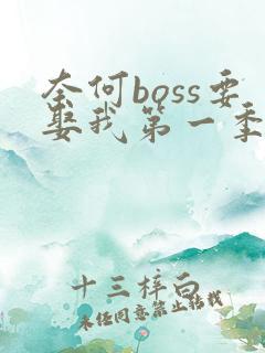 奈何boss要娶我第一季高清免费全集在线观看