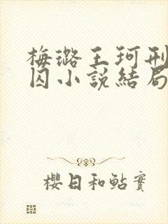 梅璐王珂刑讯女囚小说结局