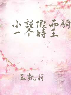 小说假面骑士另一个时王