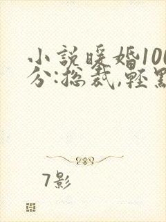 小说暖婚100分:总裁,轻点宠