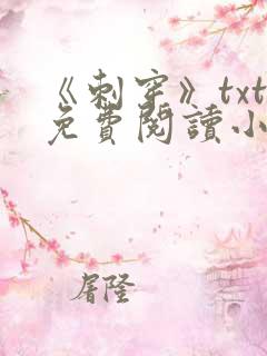 《刺穿》txt免费阅读小说