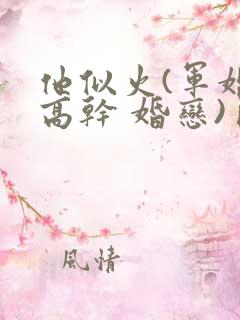 他似火(军婚 高干 婚恋)臣言