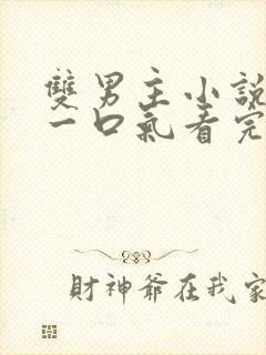 双男主小说解说一口气看完