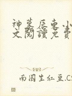 神墓辰东小说全文阅读免费