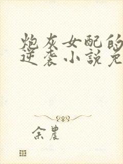 炮灰女配的无限逆袭小说免费阅读