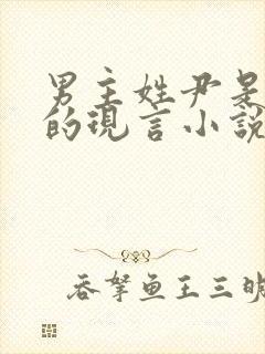 男主姓尹是总裁的现言小说