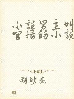 小说男主叫陈泽官场的小说