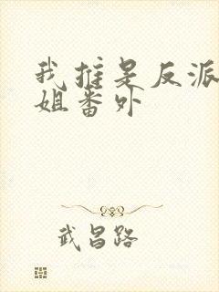 我推是反派大小姐番外