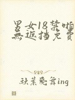 男女18禁啪啪无遮挡免费网站