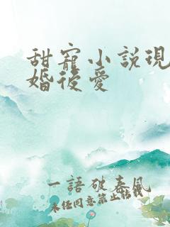 甜宠小说现言先婚后爱