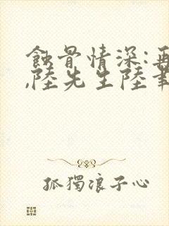 蚀骨情深:再见,陆先生陆聿辞岑渺的小说