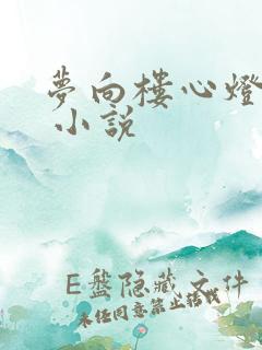梦向楼心灯火归 小说