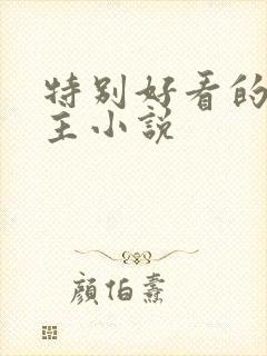 特别好看的双男主小说