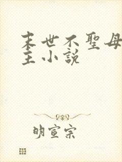 末世不圣母无女主小说