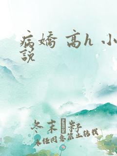 病娇 高h 小说