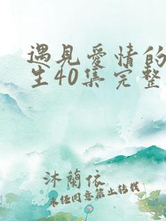 遇见爱情的利先生40集完整版