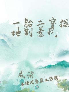 一胎二宝总裁爹地别惹我