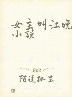 女主叫江晚晴的小说