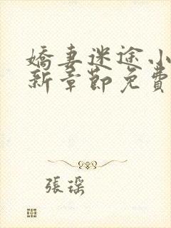 娇妻迷途小说最新章节免费阅读