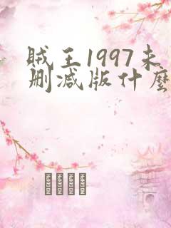 贼王1997未删减版什么时候出