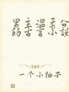 男主温柔公子型的古言小说