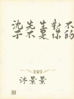 沈先生对不起孩子不是你的短剧免费观看