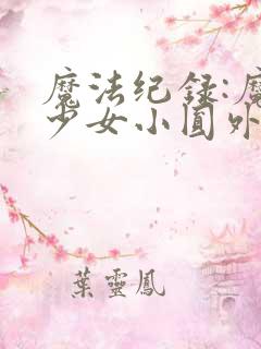 魔法纪录:魔法少女小圆外传第二季